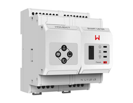 Homekit 1000 GOODWE 24mm 200A